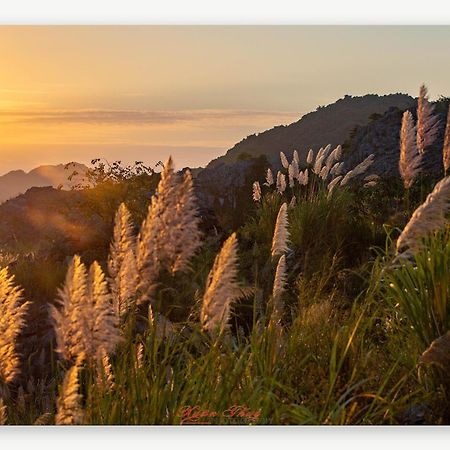 Cat Ba Island Garden Homestay - Papillon Экстерьер фото