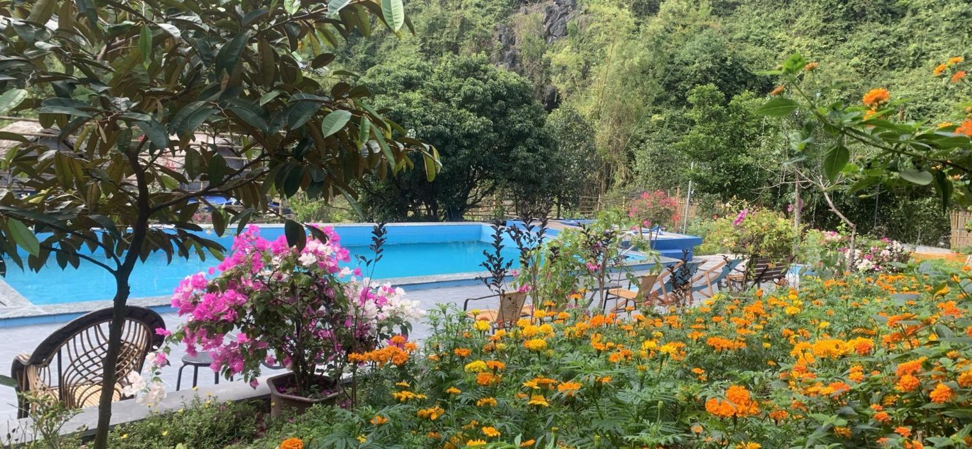 Cat Ba Island Garden Homestay - Papillon Экстерьер фото