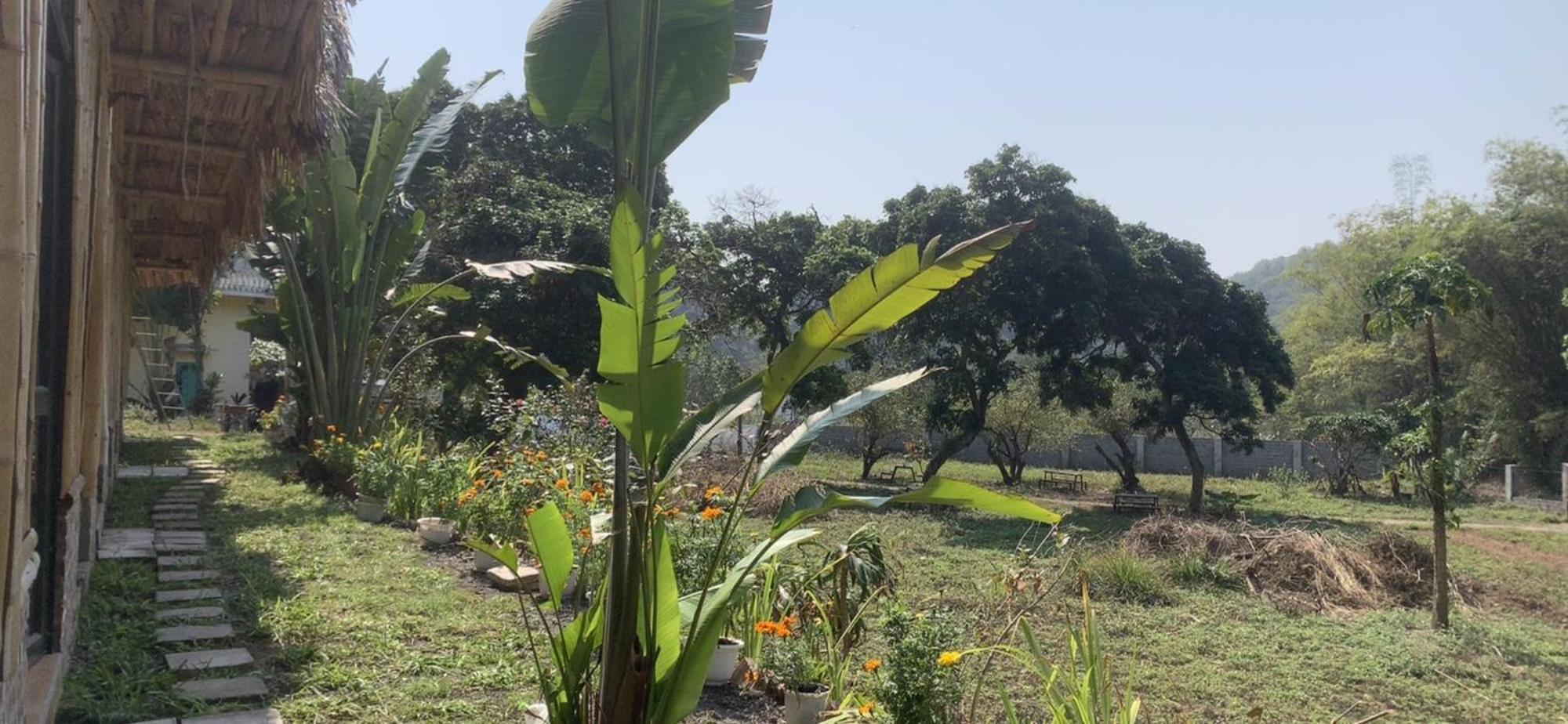 Cat Ba Island Garden Homestay - Papillon Экстерьер фото