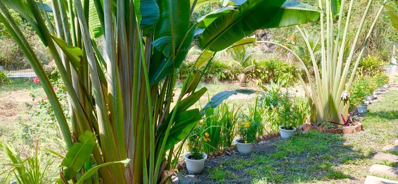 Cat Ba Island Garden Homestay - Papillon Экстерьер фото