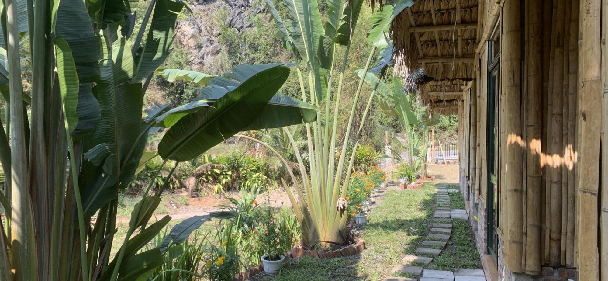 Cat Ba Island Garden Homestay - Papillon Экстерьер фото