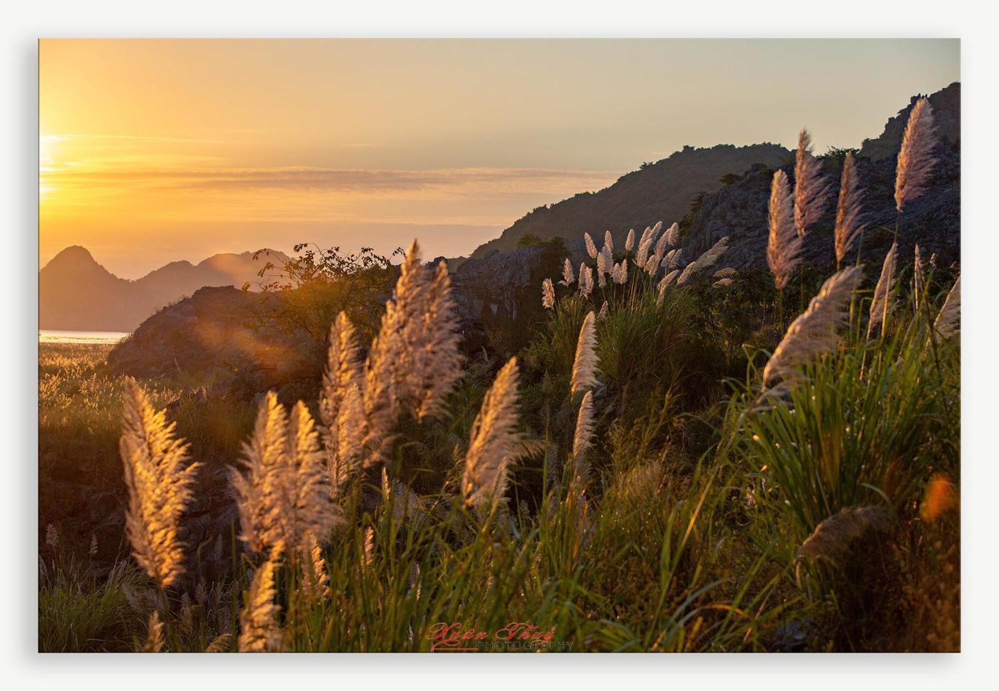 Cat Ba Island Garden Homestay - Papillon Экстерьер фото