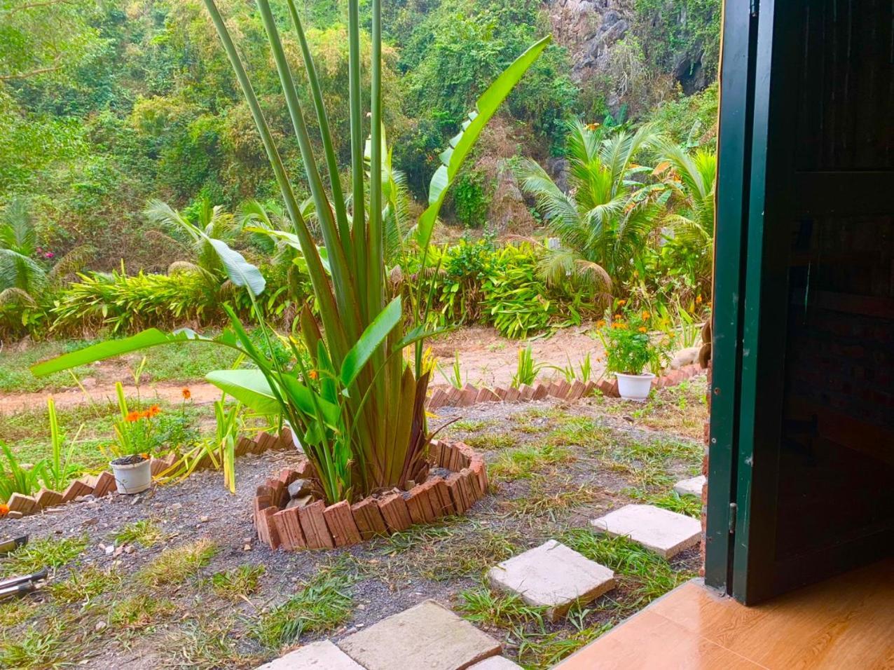 Cat Ba Island Garden Homestay - Papillon Экстерьер фото