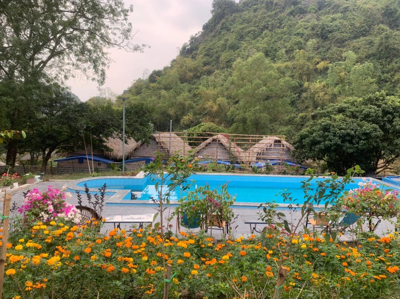 Cat Ba Island Garden Homestay - Papillon Экстерьер фото